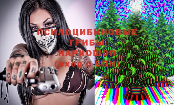 эйфоретик Верхний Тагил